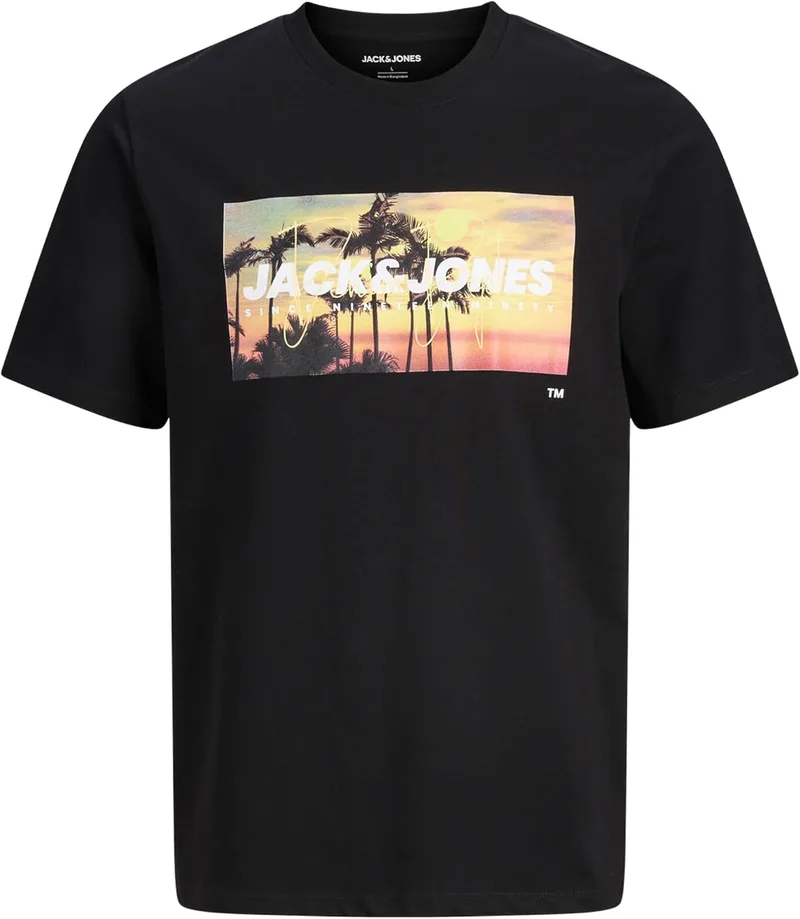 JACK & JONES ▫️ Camiseta Jjindiana SS de gola redonda para homem
