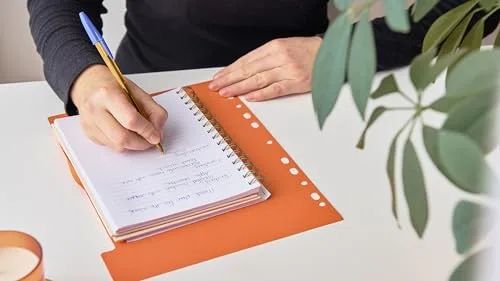 BIC ▫️ Canetas esferográficas Cristal Fine de ponta fina (0,80 mm) - Tintas em cores variadas, caixa de edição especial com 27 unidades 6