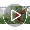 OUTIGO ▫️ Cortador de relva sem fios a bateria, com 4 tipos de acessórios de corte, 2 baterias de 21 V, dobrável e ajustável, para jardim e terraço. 7