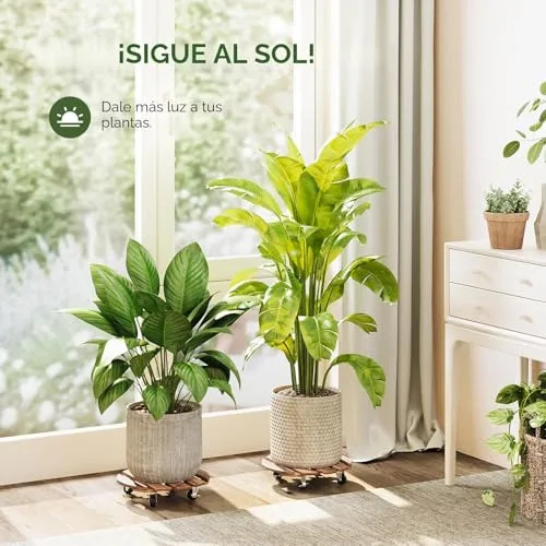Bamworld ▫️ 2 Suportes para plantas com rodas de 30 cm, suporte móvel para plantas com rodas giratórias e bloqueáveis para uso interior e exterior, plataforma resistente para plantas 5