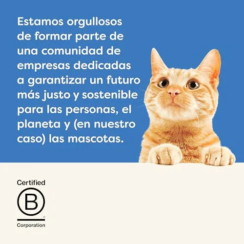 Applaws ▫️ 100 % Natural – Comida húmida para gatos adultos, seleção de peixe em molho – Multipack, 12 latas de 70 g 7