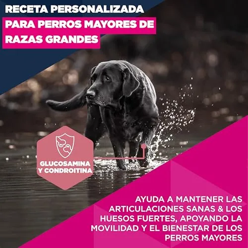 Eukanuba ▫️ ração para cães idosos com frango fresco para raças de grande porte - Ração seca premium para cães idosos, 3 kg 3