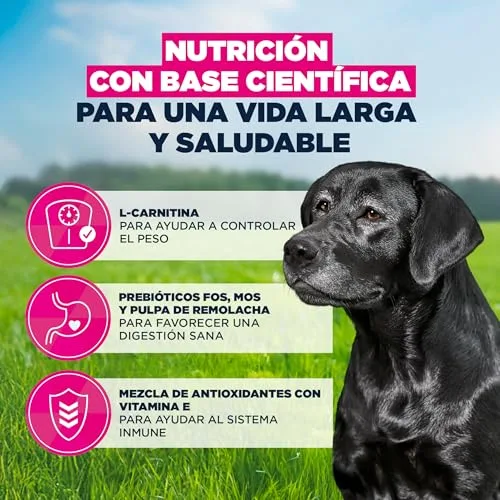 Eukanuba ▫️ ração para cães idosos com frango fresco para raças de grande porte - Ração seca premium para cães idosos, 3 kg 5