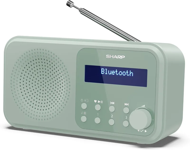 Sharp ▫️ DR-P420(PK) Rádio digital portátil Tokyo Dab+, Dab e FM com RDS, BT 5.0, alimentação por USB ou pilhas, mini-jack, antena telescópica, pesquisa automática, 20+20 memórias, hora e data automáticas, alarme, cor-de-rosa