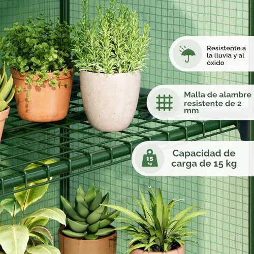 Bamworld ▫️ Estufa Pequena para Exterior com 4 Níveis para Plantas, Jardim, Inverno, Terraço e Varanda – Estrutura Robusta 3