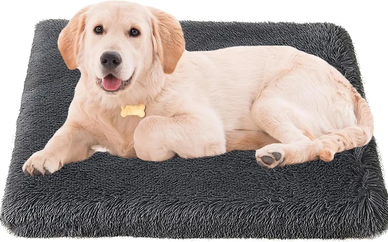 Bizcasa ▫️ Cama para cães, 100 x 60 x 8 cm, colchão para cães, colchão lavável para cães, colchão grande para cães, base antiderrapante, almofada macia para cães, cinzento escuro