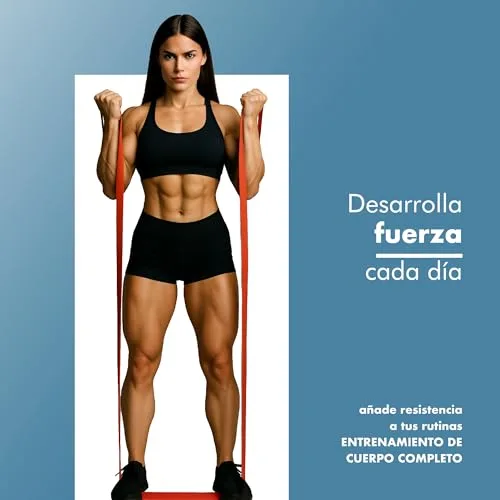 PORTENTUM ▫️ Elásticos para musculação – Conjunto de faixas elásticas de resistência com 4 ou 5 níveis de intensidade – Alças, fixação para porta, capas e saco – Ginásio em casa para homens e mulheres – Força, Fitness, CrossFit, Yoga 6