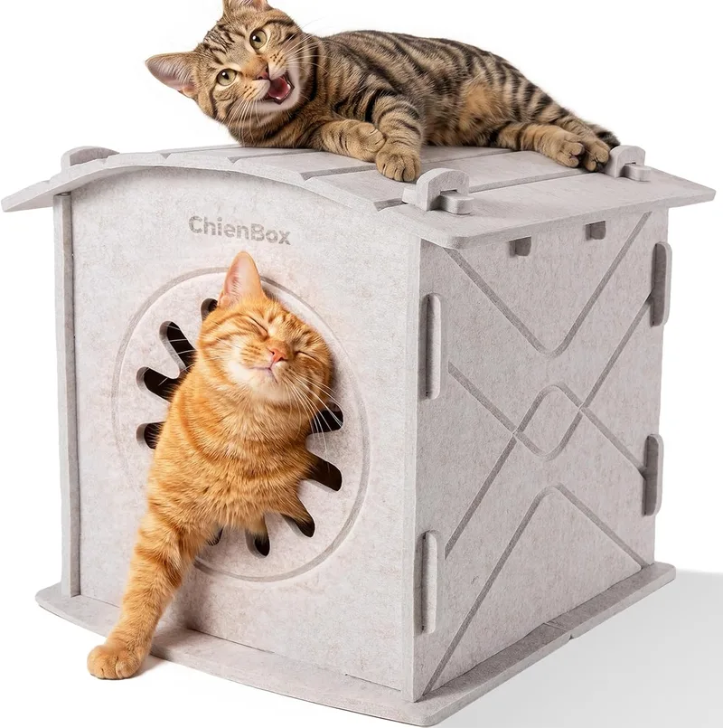 ChienBox ▫️ Casa para gatos em feltro para interior: Caverna para gatos quente de inverno, Casa para gatos resistente, Casa para gatos com entrada para arranhar, Cama para gatos fácil de limpar e montar, Caverna para gatos 38x36x38cm