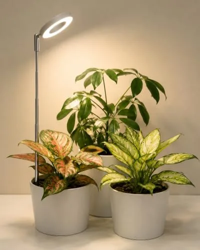Bamworld ▫️ Anel LED de espectro completo para o crescimento de plantas de interior, 380-800 nm; luzes de crescimento para plantas em vasos, altura ajustável, luz de cultivo à prova de água IP54, luz USB para plantas de interior 2