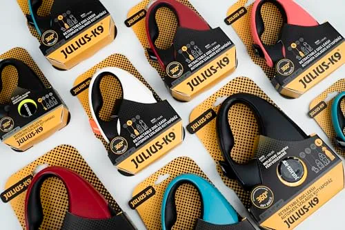 Julius-K9 ▫️ Trela retrátil para cães M - Fita de 5 m, Preto/Turquesa – Pega antiderrapante, trela em fita, extensível, travão com uma só mão, pausa, bloqueio, fita refletora, sem emaranhados, de alta resistência 5