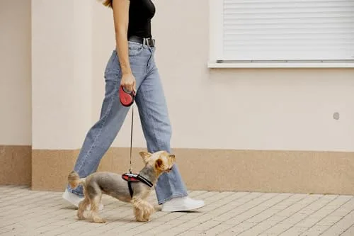 Julius-K9 ▫️ Trela retrátil para cães tamanho S – fita de 5 m, preta/laranja – pega antiderrapante, trela em fita, extensível, travão com uma só mão, pausa, bloqueio, fita refletora, não se enrola, resistente 6