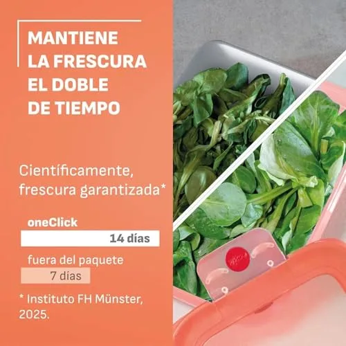 Emsa ▫️ oneClick, recipiente para armazenamento de alimentos, um clique, abre e fecha sem esforço, mantém os alimentos 2 vezes mais frescos, 100% hermético, empilháveis, conjunto de 5 peças em laranja, 2x 0,50 L, 2x 1,20 L, 1x 2,30 L, N1230900 6