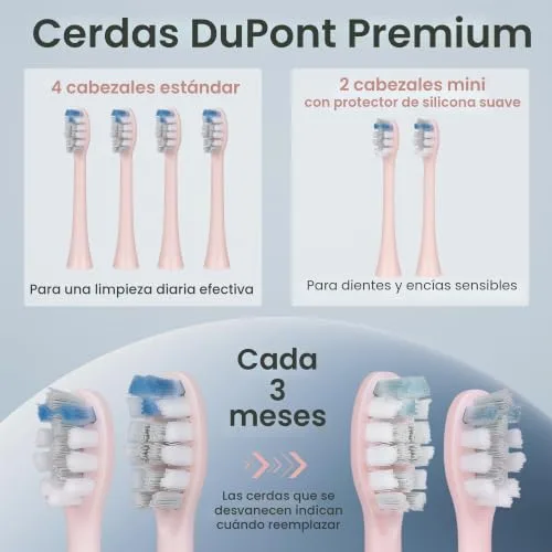 BARBERBOSS ▫️ Escova de dentes elétrica sónica para adultos, escova de dentes recarregável cor-de-rosa com base de carregamento USB, 5 modos de limpeza, 3 intensidades, temporizador inteligente de 2 minutos, QR-7303 3