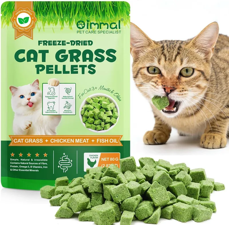 CiAIplw ▫️ Snacks de Catnip para Gatos Liofilizados, 80g - Guloseimas Naturais para Ajudar a Digestão, Controlo de Bolas de Pelo, Cuidados Dentários, Receita de Frango e Óleo de Peixe
