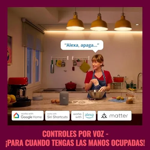 WiZ ▫️ Tomada Inteligente Wi-Fi, tipo F, 230 V, 50 Hz, Configuração Fácil, Certificada pela Matter, Controlos Inteligentes, Comandos de Voz, Compatível com Alexa, Google Home e Apple Home, Conjunto de 4 4