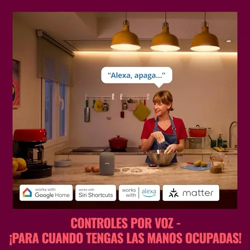 WiZ ▫️ Tomada Inteligente Wi-Fi, Tipo F, 230 V, 50 Hz, Fácil Instalação, Certificação Matter, Controlo Inteligente, Comandos de Voz, Compatível com Alexa, Google Home e Apple Home, Conjunto de 2 4