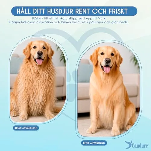 Candure ▫️ Pente para cães e escova para gatos que remove pêlo curto morto dos animais de estimação; escovas de higiene em aço inoxidável que desembaraçam os nós, para animais de estimação pequenos, médios e grandes (escova azul-celeste) 4