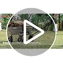 VEVOR ▫️ Carrinho de jardim com função basculante e capacidade de carga de 181 kg, carrinho de jardim em polietileno com mecanismo de basculamento de 90°, com rodas giratórias de 180° e rolamentos flexíveis de 270° para plantas 7