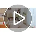 Hoover ▫️ Aspirador-vassoura sem fio HF1 Core Pet | 50 minutos de autonomia 7