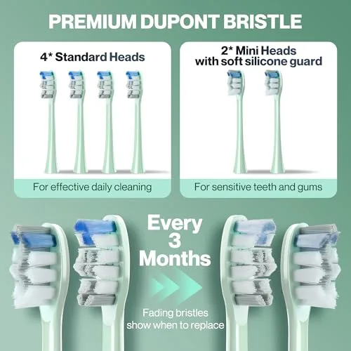 BARBERBOSS ▫️ Escova de dentes sónica para adultos, escova de dentes elétrica recarregável com 5 modos de limpeza, 3 níveis de intensidade e sensor de pressão inteligente (Verde) 4