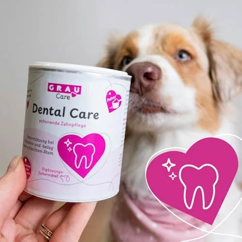 Grau ▫️ Dental Care, Embalagem de 1 (1 x 100 g), alimento complementar para cães 2