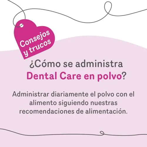 Grau ▫️ Dental Care, Embalagem de 1 (1 x 100 g), alimento complementar para cães 5