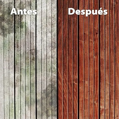 Wagner ▫️ Pistola de pintura para madeira de exterior 5
