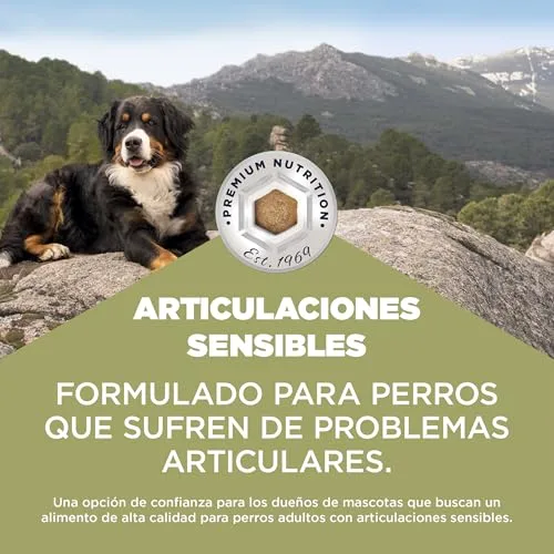 Eukanuba ▫️ Sensitive Joints - Ração seca para cães, frango, 2,3 kg 3