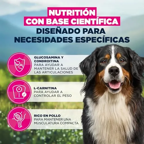 Eukanuba ▫️ Sensitive Joints - Ração seca para cães, frango, 2,3 kg 5