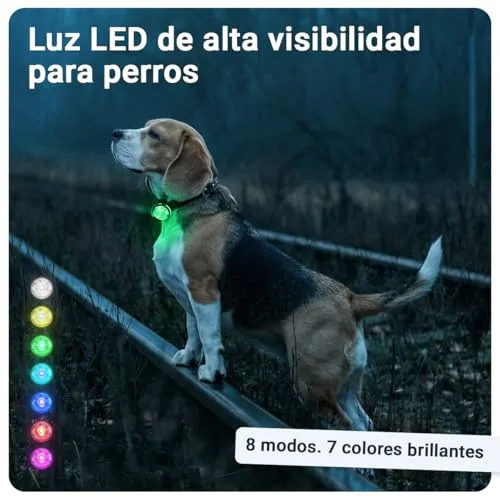 PAJ GPS ▫️ PAJ 2X LEDs ultrabrilhantes ajustáveis para coleiras e arneses, 7 cores 2