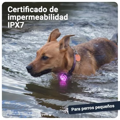 PAJ GPS ▫️ PAJ 2X LEDs ultrabrilhantes ajustáveis para coleiras e arneses, 7 cores 3