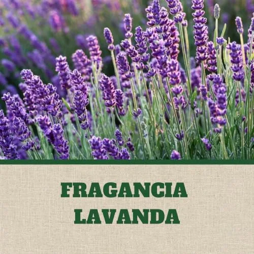 POLIL ▫️ Gel Antitripas com Fragrância de Lavanda, perfuma o roupeiro e protege a roupa, dura até 3 meses, embalagem de 24 x 2 = 48 unidades 3