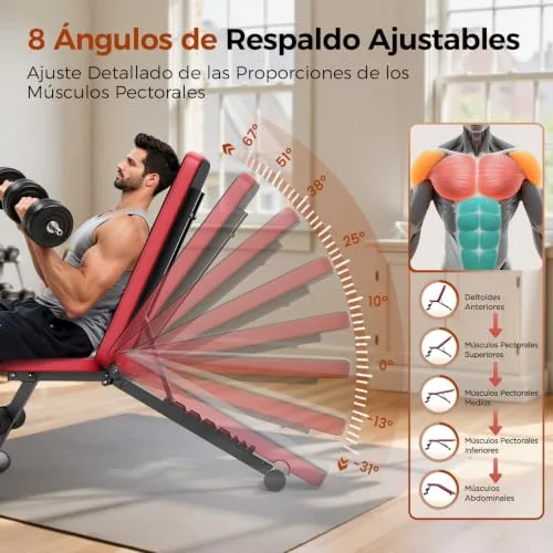 FLYBIRD ▫️ Banco de pesos ajustável para ginásio em casa, capacidade de carga de 300 kg, banco de treino com 8 posições de encosto para peito, ombros e braços 3