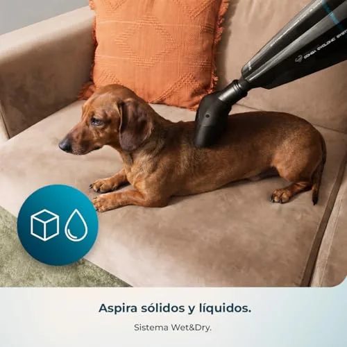 Cecotec ▫️ Aspirador de mão sem fio Conga Immortal Extremesuction 22,2 Animal Hand Neo. 150 W, bateria de 22,2 V, 10 kPa, depósito de 500 ml, filtro de alta eficiência, acessório para pêlos de animais 5