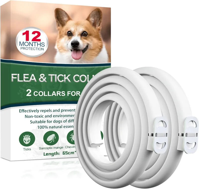 Paistely ▫️ Coleira antiparasitária para cães, segura e eficaz. Coleiras antiparasitárias para cães, com 12 meses de eficácia. Coleira antipulgas para cães de 65 cm, para cães pequenos, médios e grandes (65 cm*2)