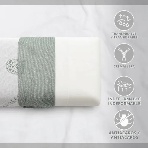 TEXTIL-HOME ▫️ Textilhome Pack de 2 Almofadas de Viagem Viscoelásticas 43x24 cm com Aloe Vera 6