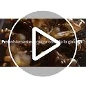 Nescafé Dolce Gusto ▫️ De'Longhi NEO CAFFÈ Pacote com 3 embalagens - Máquina de café de cápsulas 7