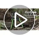 Rolgno ▫️ Tesoura de poda, aço SK5 de alta resistência, revestimento em PTFE 7