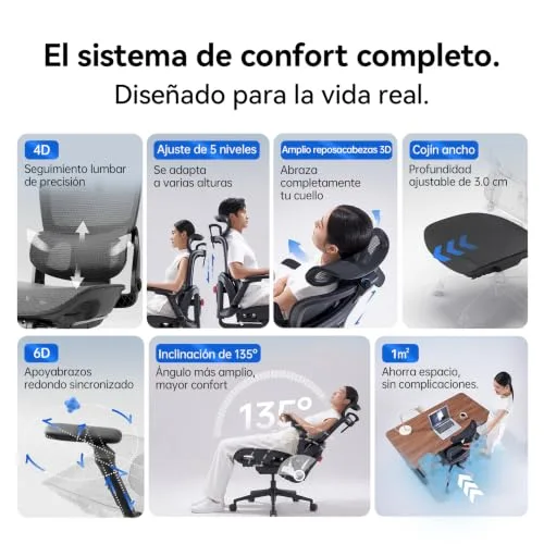 SIHOO ▫️ B300 Pro Cadeira Ergonómica de Escritório com Apoio Lombar Adaptável, Preta 5