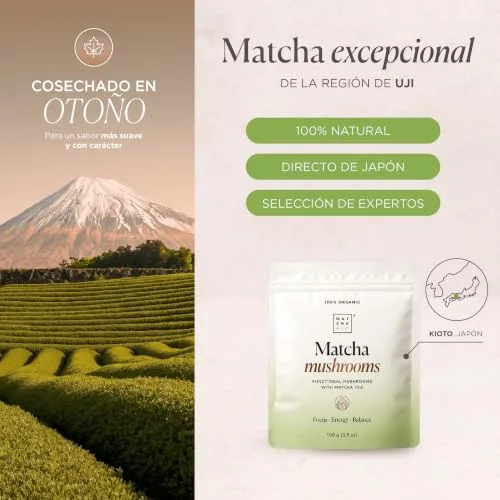 Matcha & CO ▫️ Matcha Mushrooms 100 g – Chá Matcha Cerimonial com 6 cogumelos funcionais (Cabelos de Leão, Reishi, Chaga, Cordyceps, Shiitake, Maitake) – Concentração, Energia, Equilíbrio – Origem japonesa 7